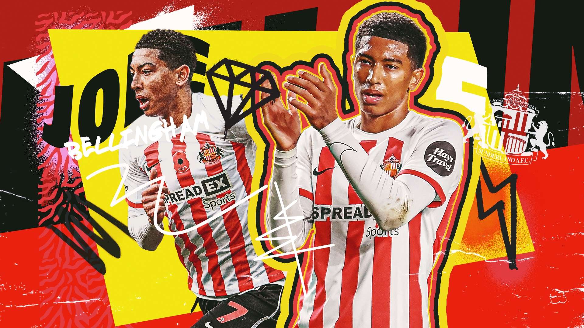 教练团队的 教练团队的