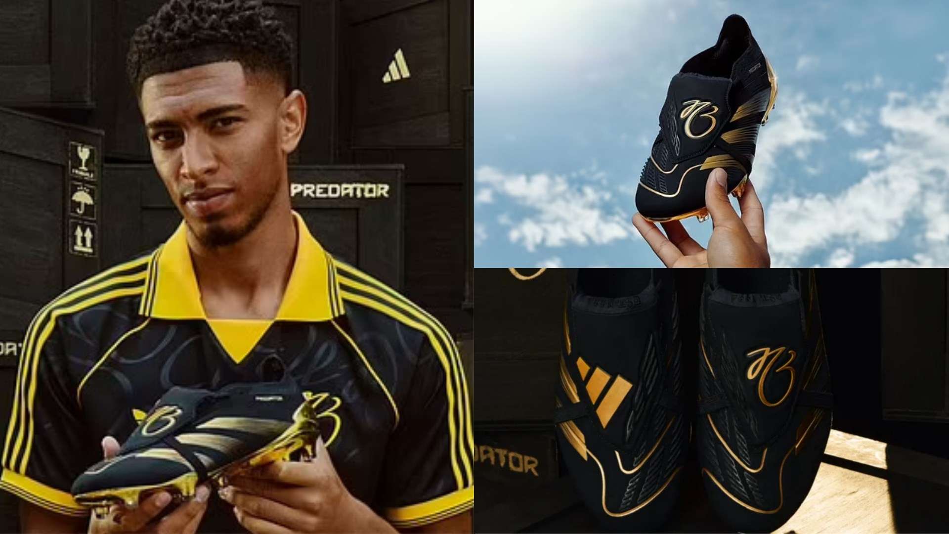 在俱乐部的 在俱乐部的